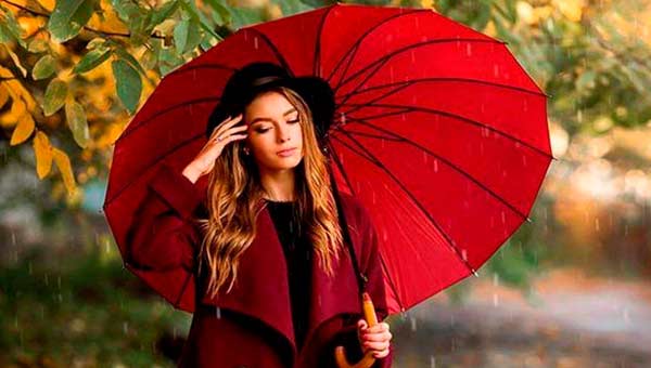 Как выбрать идеальный зонт: стильный и надежный